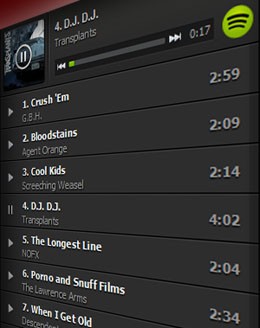 screenshot spotify lista